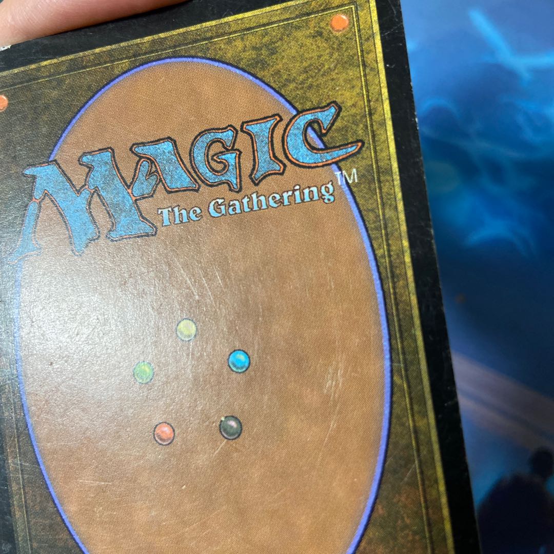 Exclusive for 376930977] Flooded Strand Rare 316/350