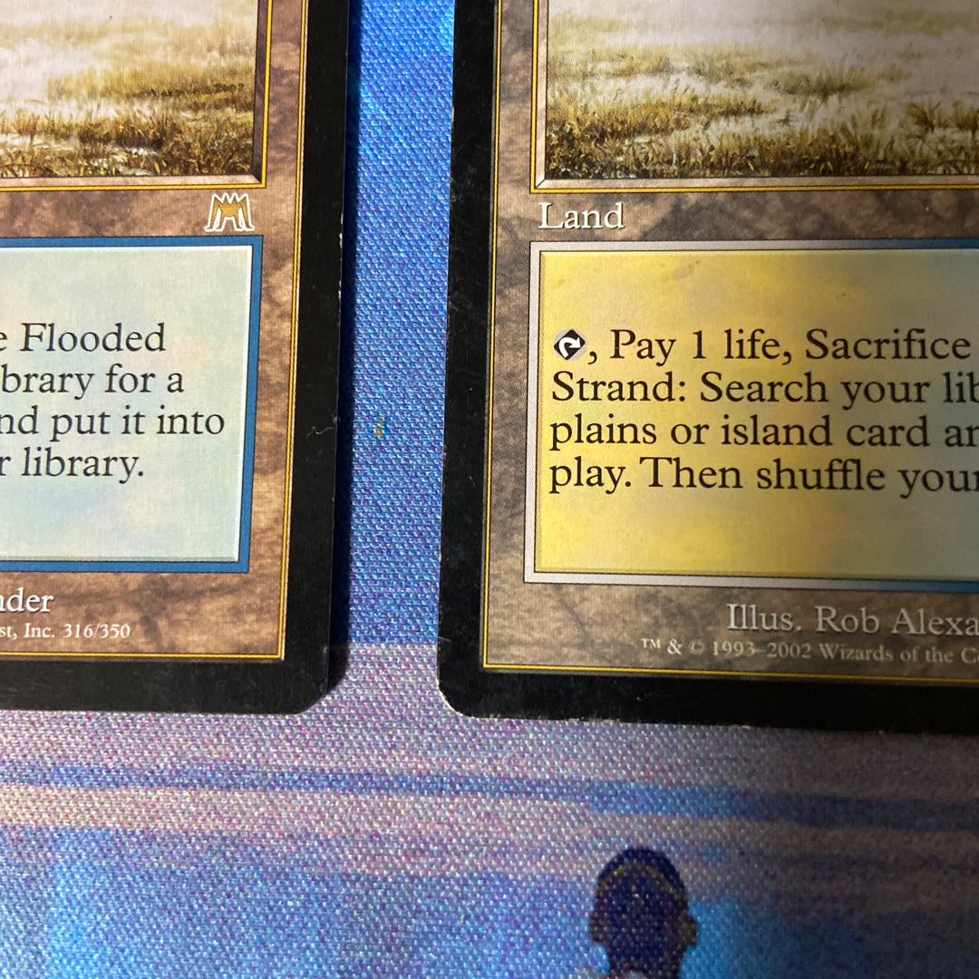 Exclusive for 376930977] Flooded Strand Rare 316/350