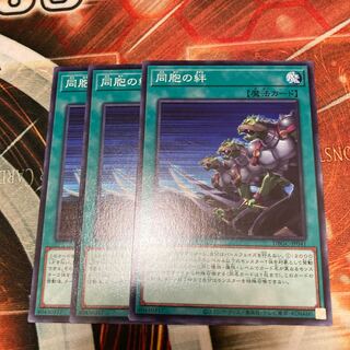 同胞の絆　ノーマル　3枚特価品