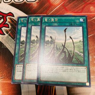 Dragon Shrine Rare 3 pieces at a special price