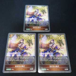 Ritual of the Dragon King Priestess, set of three, Black Silver Bahamut