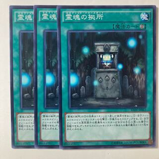 霊魂の拠所  ☆8415