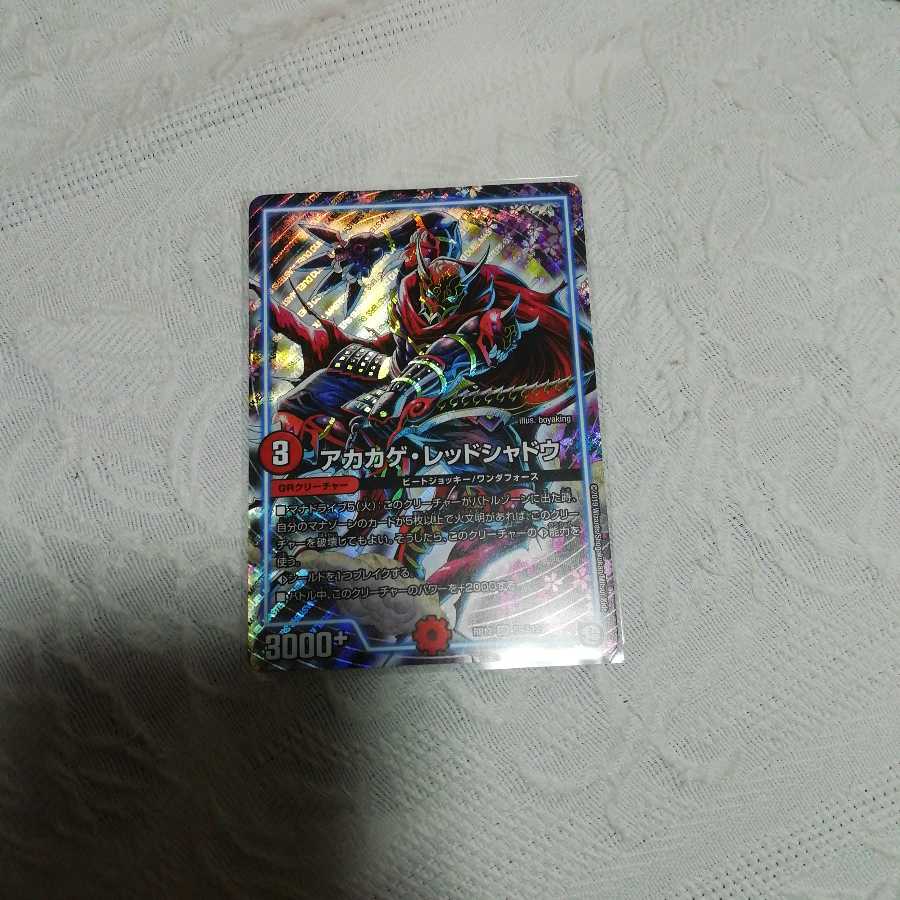 アカカゲレッドシャドウ