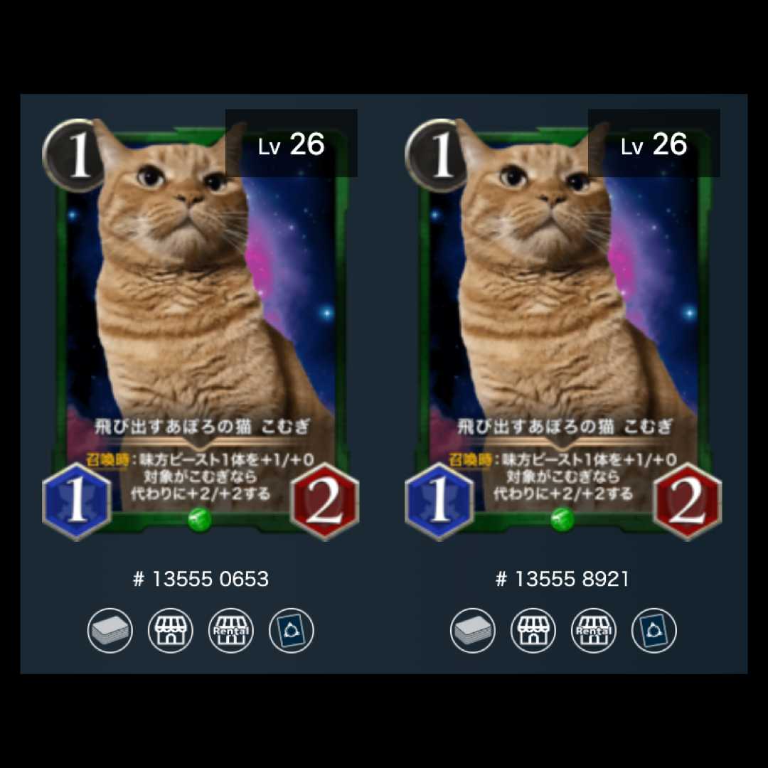 Pop-up Aporo no Neko Komugi 2-piece set