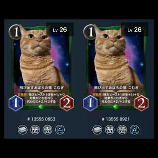 Pop-up Aporo no Neko Komugi 2-piece set