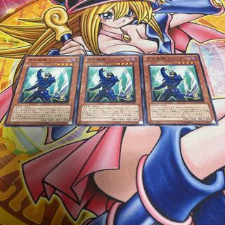 甲虫装機 ウィーグ ノーマル JP030