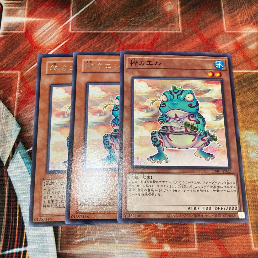 Ronintoadin 3 pieces special price