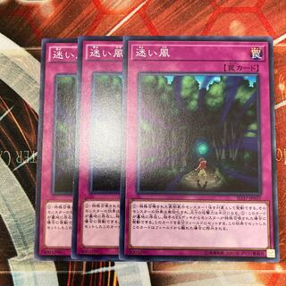 迷い風　ノーマル　3枚特価品