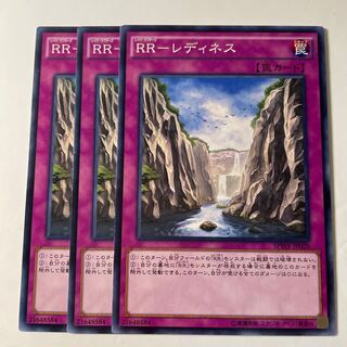 6191 RR-レディネス ノーマル JP029