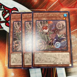 Floowandereeze & Robina Rare 3 piece special