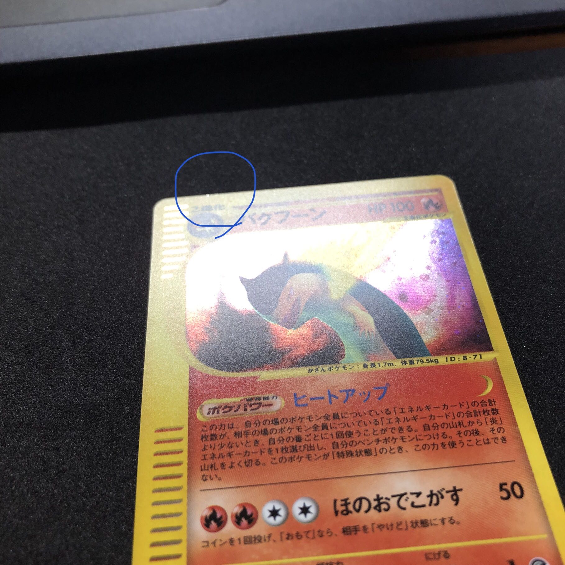 Typhlosion exclusively for Mr. LUCIA