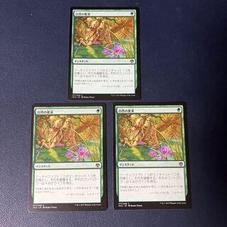 Nature's Claim Common 177/249 Iconic Masters