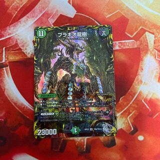 Ryuki Brachio SR S5/S11