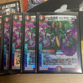 リンネビーナス