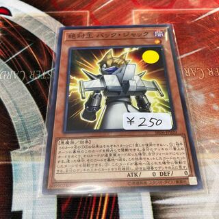 Absolute King Back Jack Normal 1 Special Price