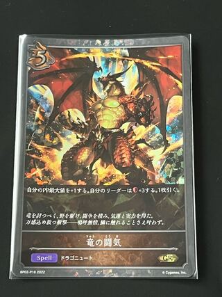 Dragon Fighting Ki (Premium)