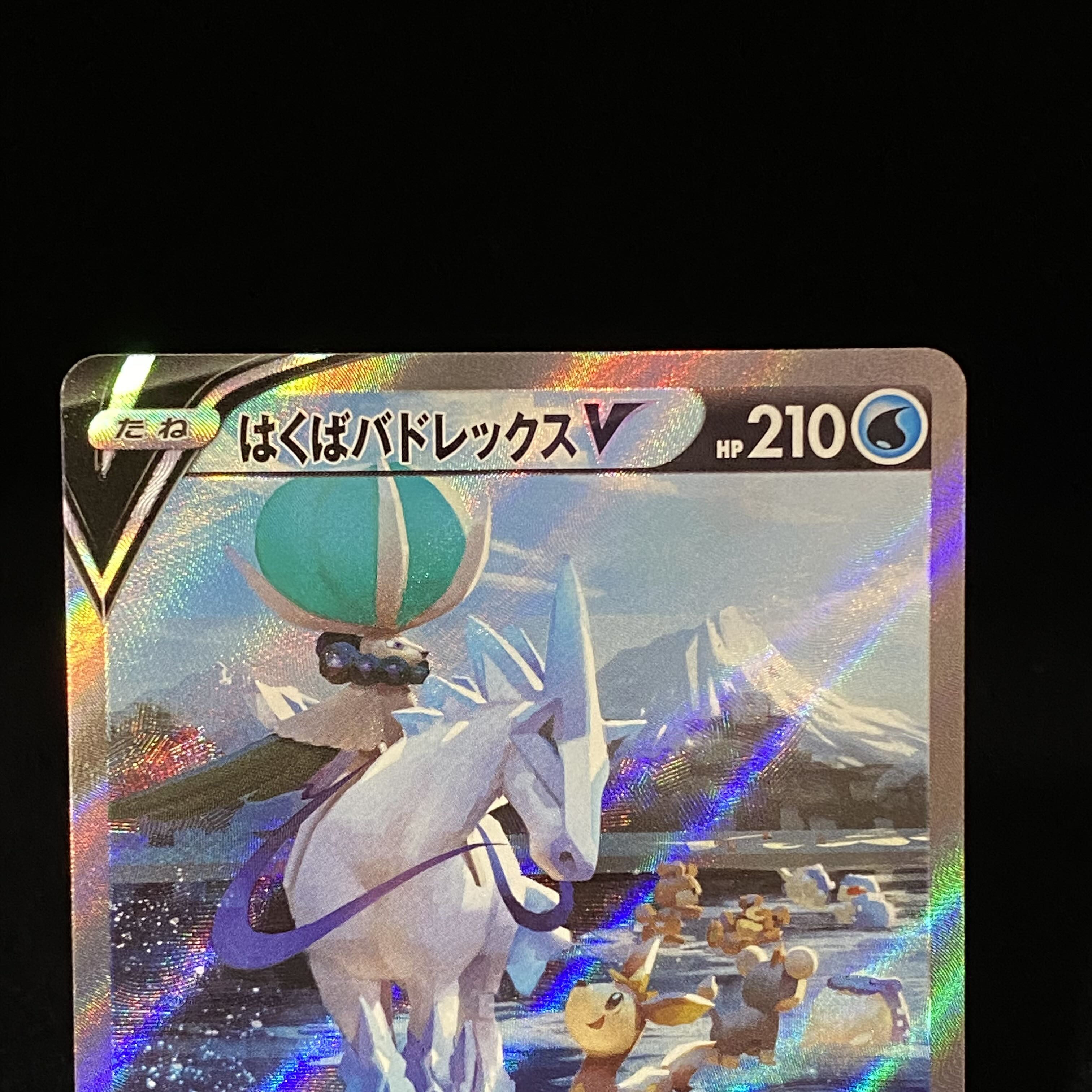 Hakuba Budrex V SR 073/070 SA