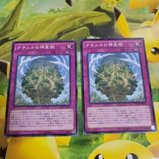 Naturia Sacred Tree Normal, set of 2