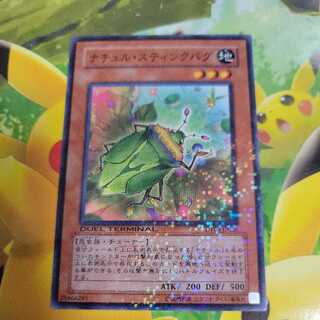 Naturia Stinkbug Normal DT08