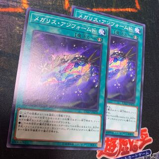 ETCO メガリス・アンフォームド ノーマル JP070