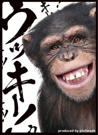 pluSmash!スリーブ2.07 チンパンジーver2 レギュラーサイズ60枚入り