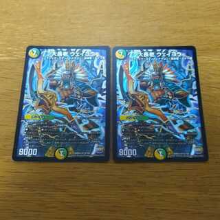 2 pieces of weiyo (large elders)