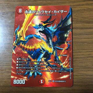 Eternal Ryusei Kaiser