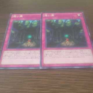 迷い風 ノーマル