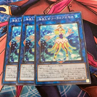 Marincess Coral Anemone Normal 3 piece special