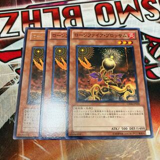 Lonefire Blossom 3 pieces special price