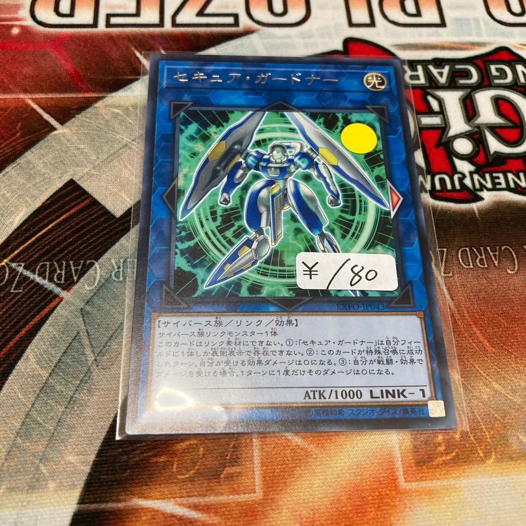 Secure Gardna Rare 1 piece Special Price