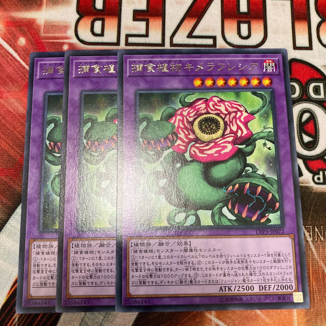 Predaplant Chimerafflesia Rare, 3 copies, special price