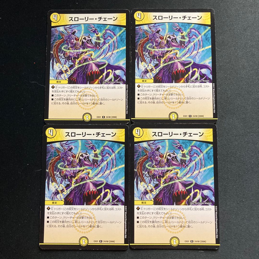 スローリー・チェーン R 24/80 [2006]