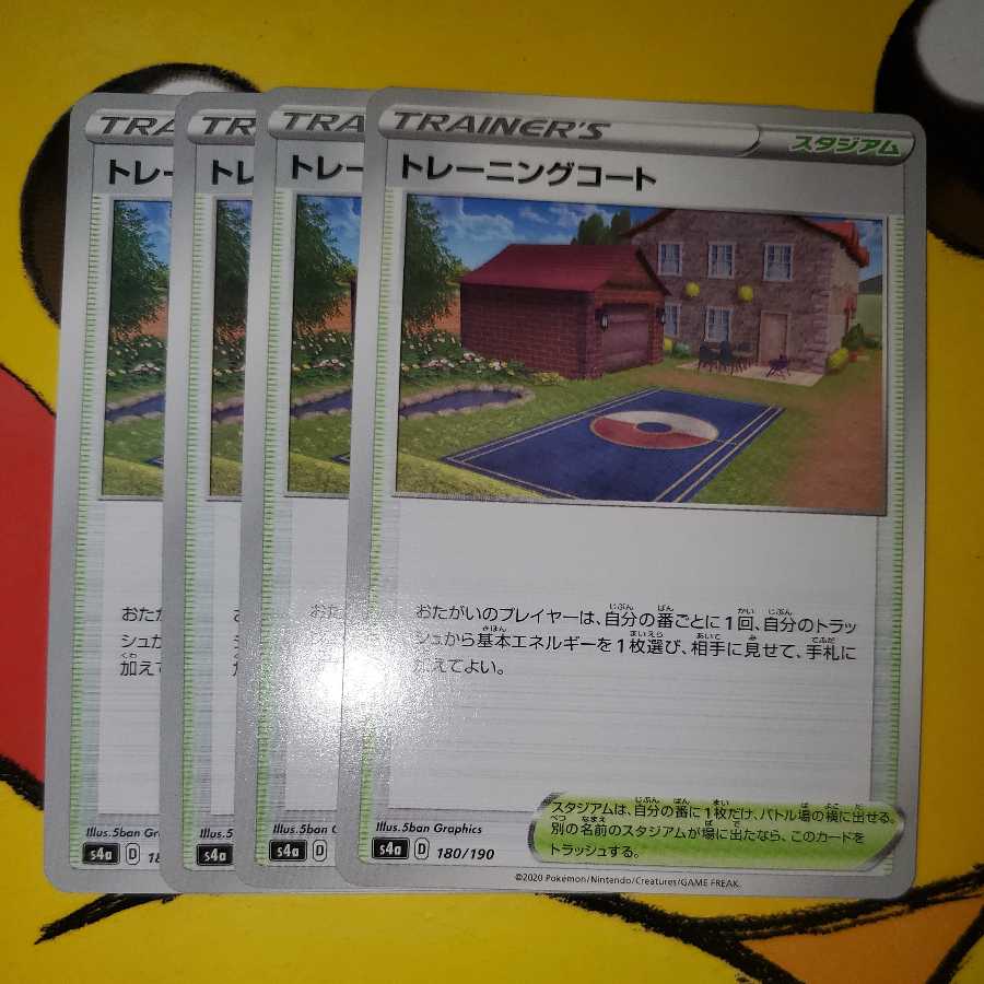 Training Court 4-piece set (2)