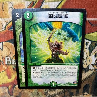 進化設計図 2枚セット