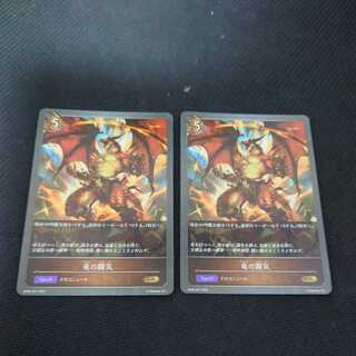 Dragon Fighting Ki, set of 2, Black Silver Bahamut 1枚