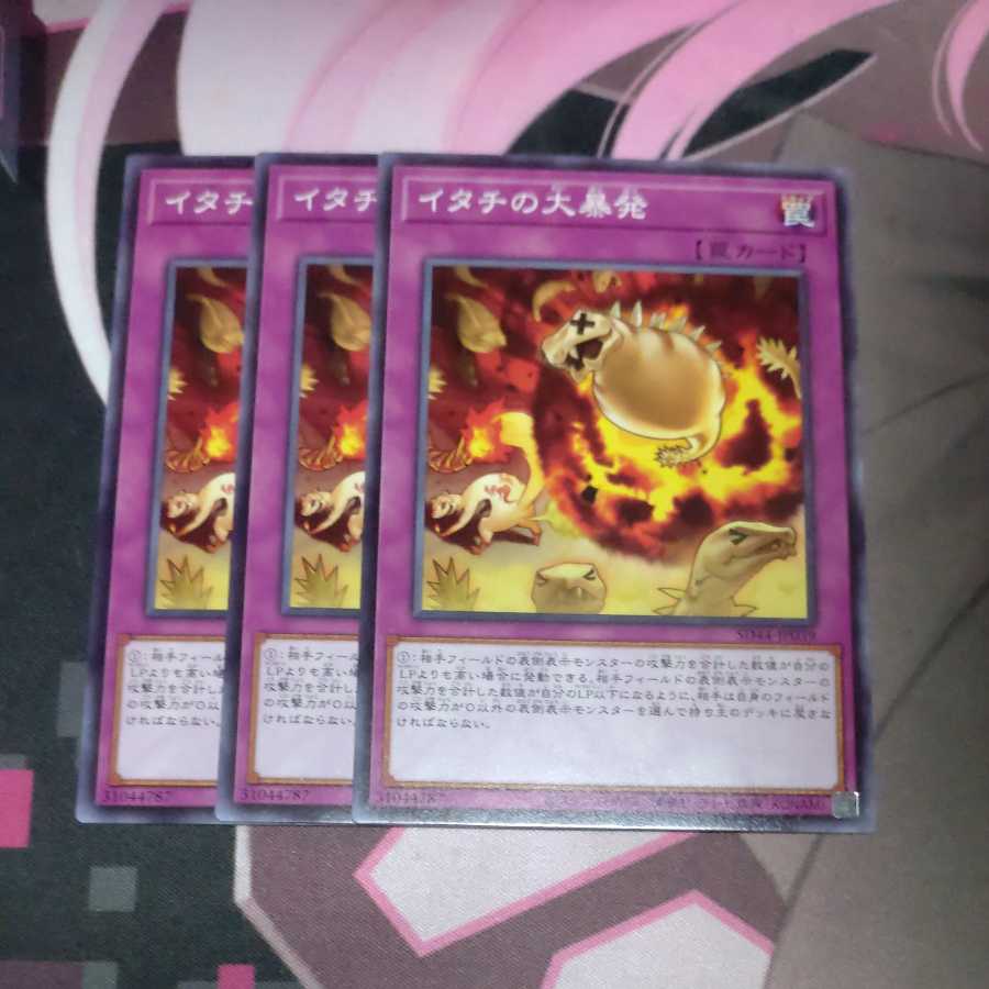 Ferret Flames Normal 3