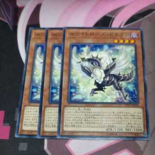 ホワイトローズ・ドラゴン ノーマル JP044 3枚