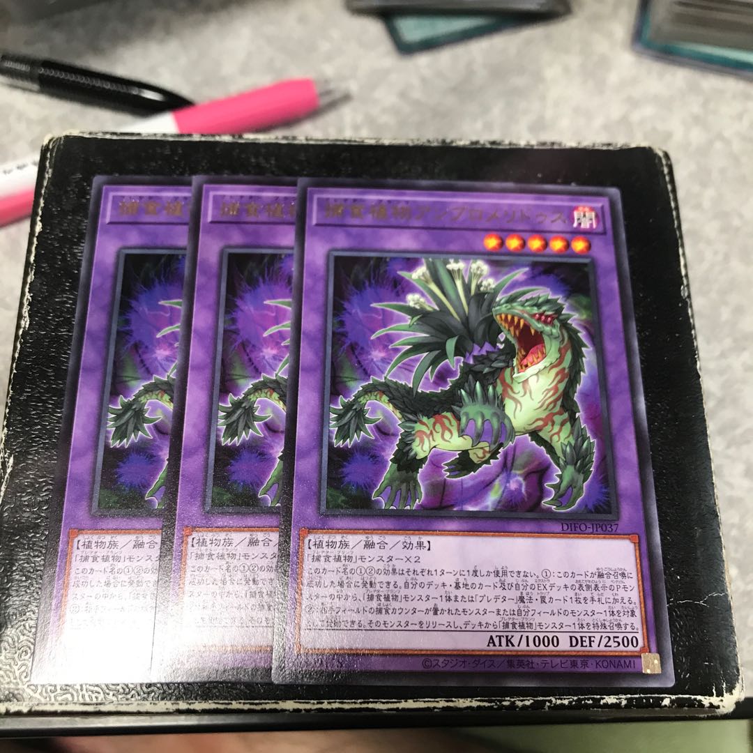 Prey Upon Plant Ambromeridus Rare 3 pieces