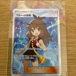 ヒュウガさん専用ブルーの探索 SR 196/173