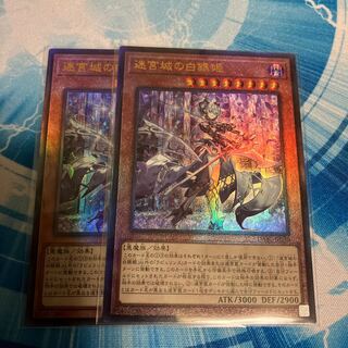 迷宮城の白銀姫 アルティメット