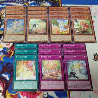 春化精21枚セット