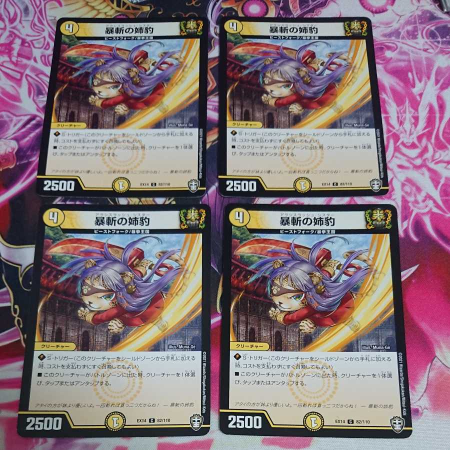 4 sheets, Sister Leopard of Violent Slash