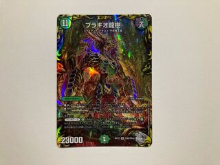 1 brachio dragon tree (20th silver treasure)