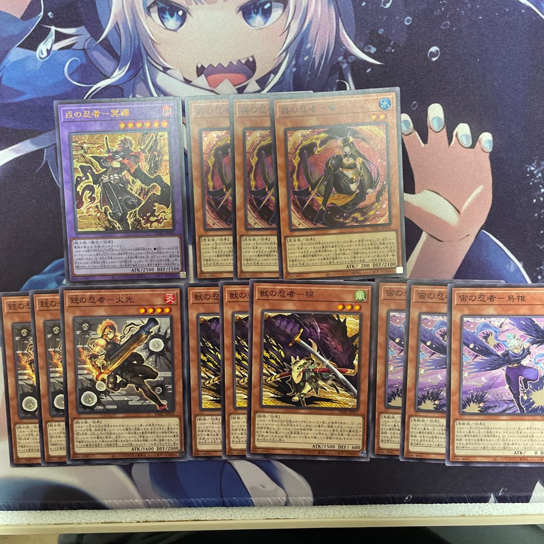 忍者　新規セット 1枚