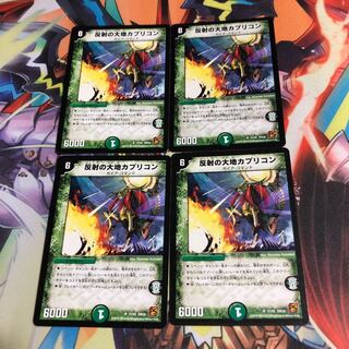 反射の大地カプリコン