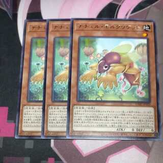 Natur Mole Cricket, rare, JP020, 3 copies.