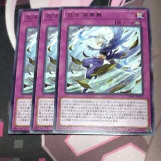 Ninpo Ochiba Mai Rare JP077 3 copies