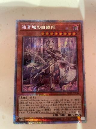 迷宮城の白銀姫(プリシク)