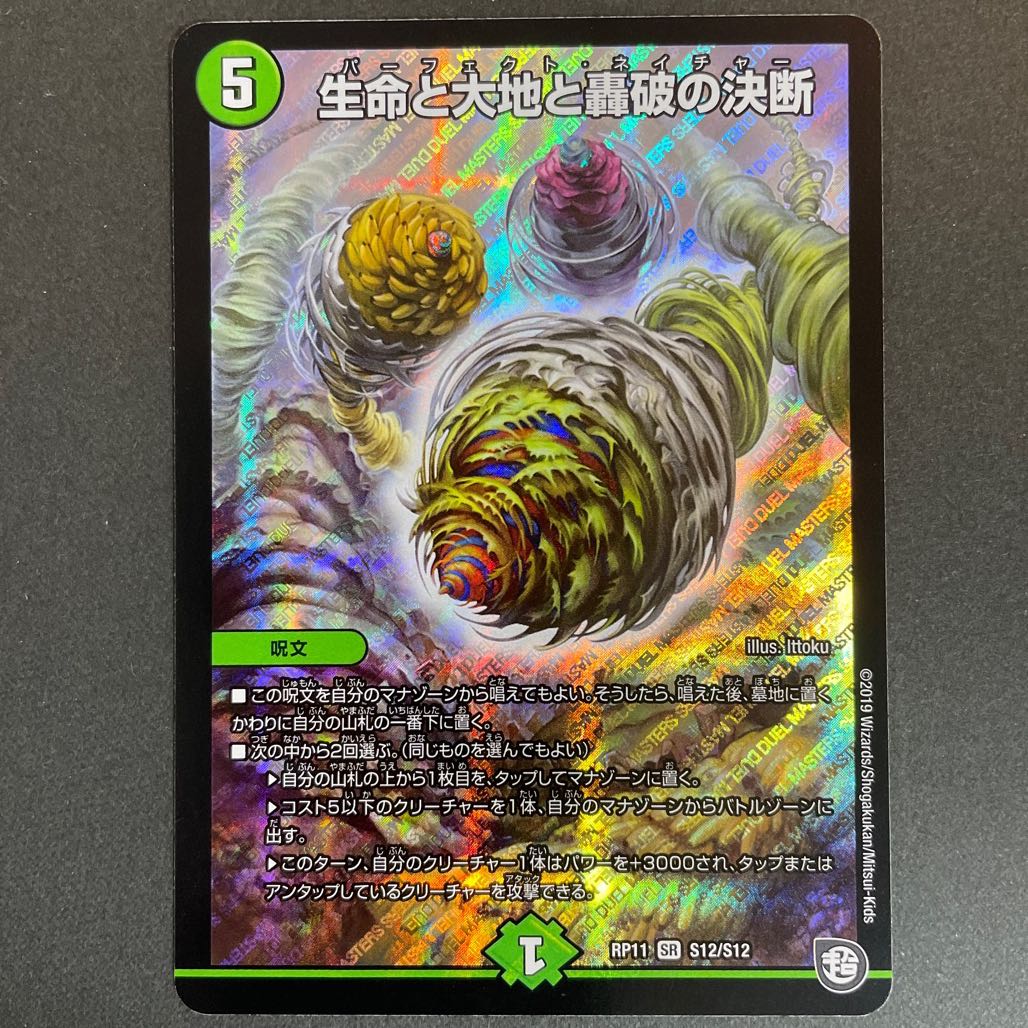 Wounded Life Life, Earth and Roaring Decision SR S12/S12